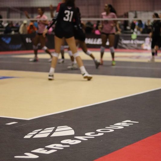 Volleyball Court Systems