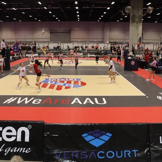 Volleyball Court Systems