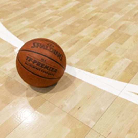 Basketball Court Systems